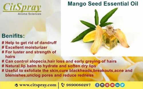 Pure Mango Seed Essential Oil Purity: 100