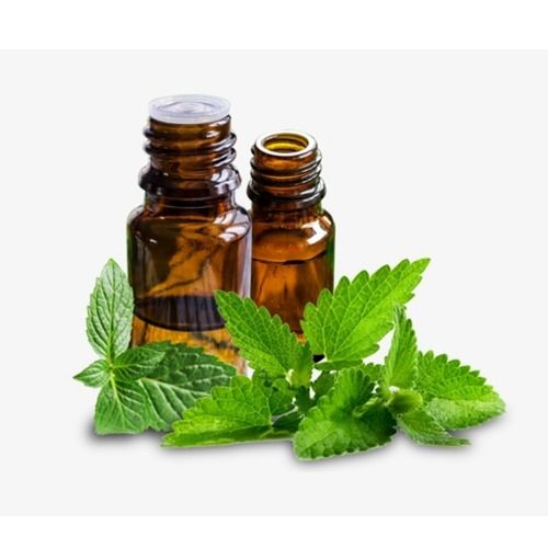 Good Quality Mint Oil