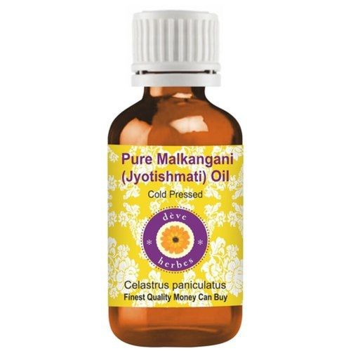 Organic Celastrus Paniculatus Essential Oil Age Group: Adults