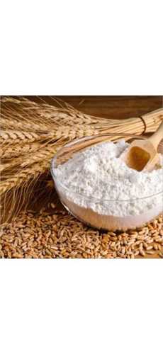 Organic White Wheat Flour