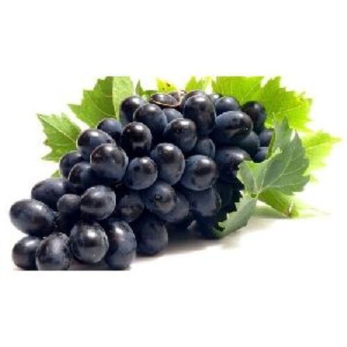 Organic Natural Fresh Black Grapes