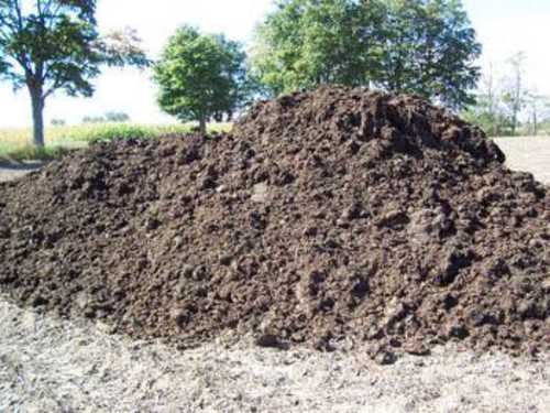 Black-Brown Organic Manure Powder