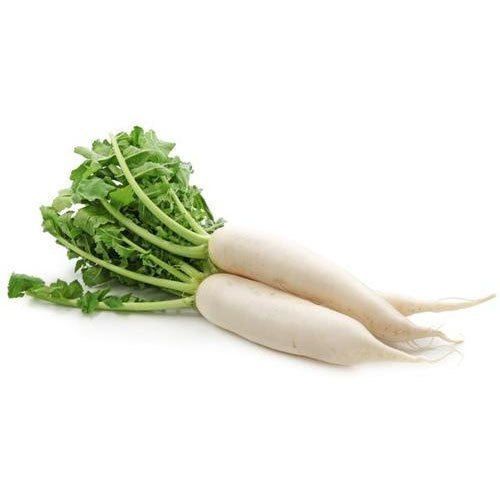 Fresh White Radish For Cooking Preserving Compound: Cool & Dry Places