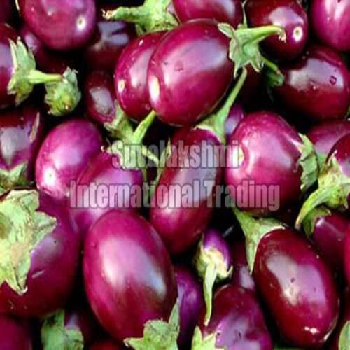 Healthy and Natural Fresh Brinjal