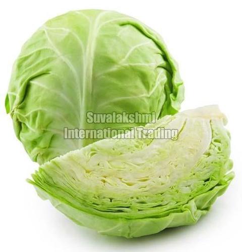 Healthy And Natural Fresh Cabbage