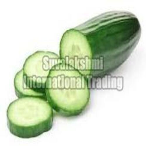 Healthy and Natural Fresh Green Cucumber