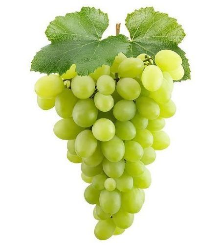 Healthy And Natural Fresh Green Grapes Shelf Life: 1 Months