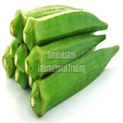 Healthy and Natural Fresh Okra