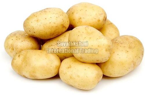 Healthy and Natural Fresh Potato