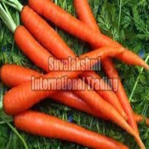  स्वस्थ और प्राकृतिक ताज़ा गाजर