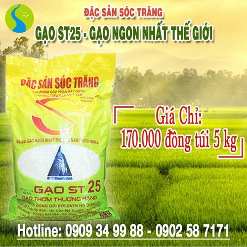 Common Soc Trang St25 Rice, White And Long