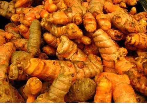 Strong Fresh Turmeric Finger