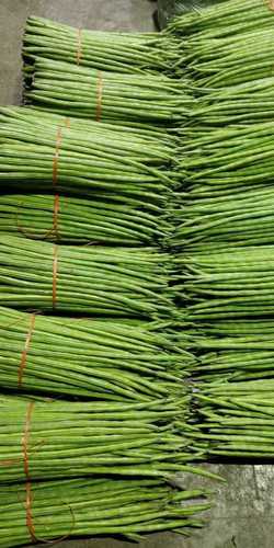 Healthy And Nutritious Frozen Drumstick Shelf Life: 6 Months