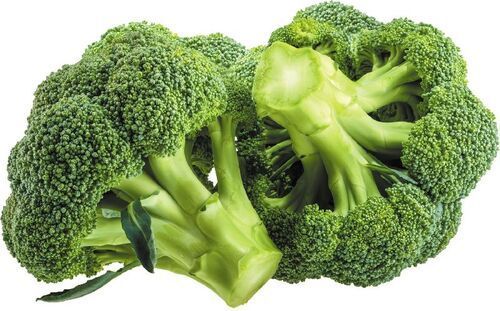 Natural Fresh Broccoli For Cooking Preserving Compound: Cool & Dry Places