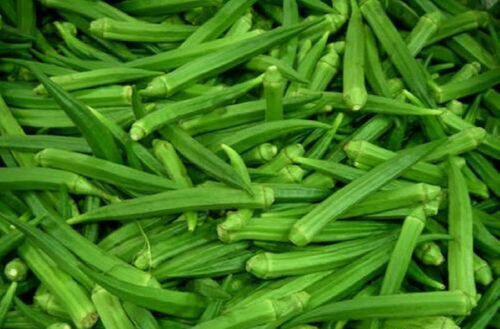 Natural Fresh Okra for Cooking