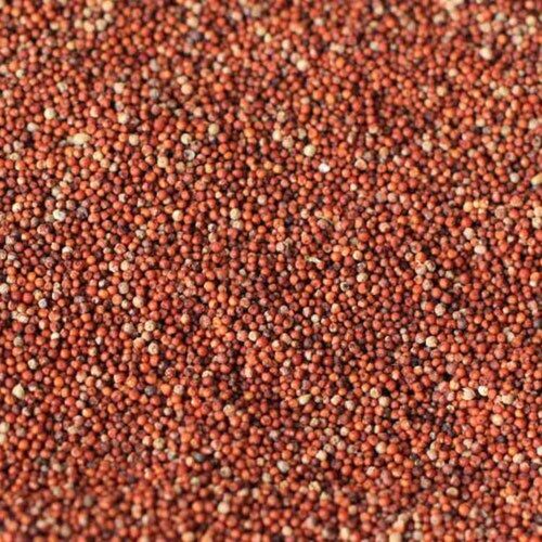 Organic Dried Red Finger Millet