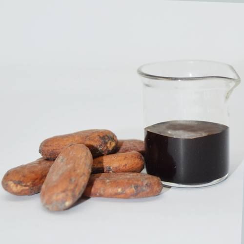 Cocoa Extract (CC-0201)