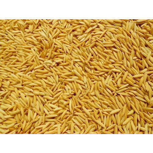 स्वस्थ और प्राकृतिक जैविक धान गैर बासमती चावल