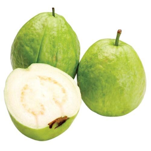 Potassium 11% 5 Kg Pack Organic Fresh Green Guava