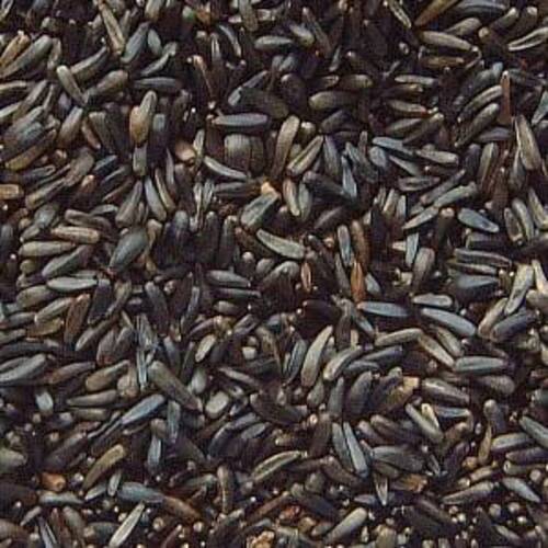 Healthy And Natural Organic Black Niger Seeds Grade: Food Grade