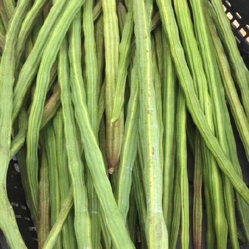 Organic Fresh Green Drumsticks - 100% Pure, Pesticide Free | Raw, Non Harmful, Excellent Natural Taste