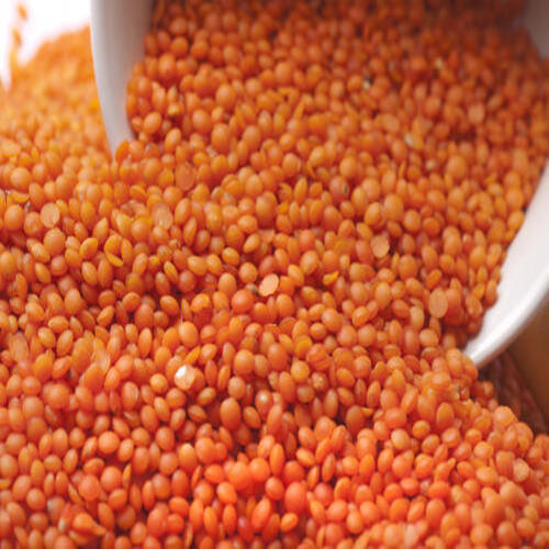 Easy To Cook Healthy To Eat Organic Dried Red Lentils