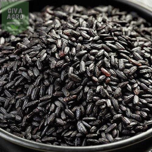 Gluten Free Low In Fat Healty And Natural Black Rice Origin: India