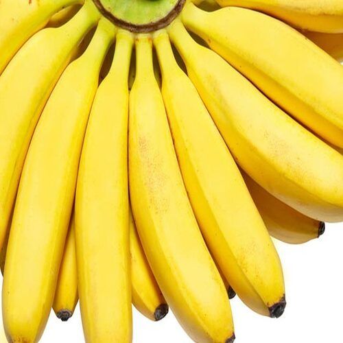 Healthy And Natural Sweet Fresh Yellow Banana Size: Standard