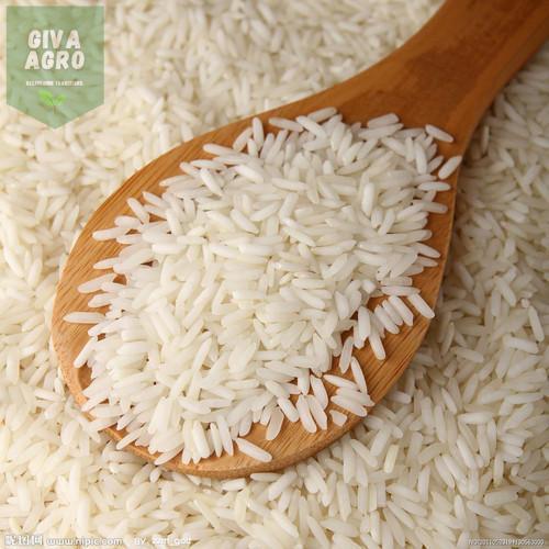 High In Protein Gluten Free Light White Katarni Rice