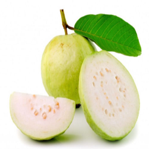 Maturity 99% Sweet Fresh Green Guava Origin: India