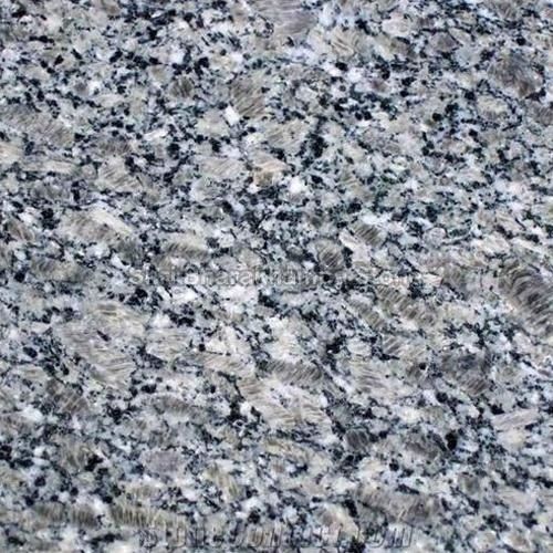 Chiku Pearl Granite Stone Slab