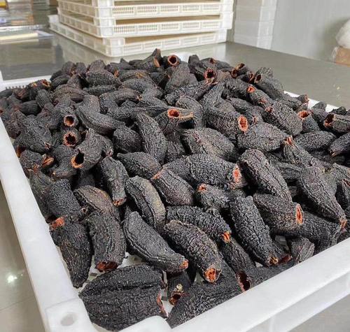 Top Quality Dried And Frozen Sea Cucumber