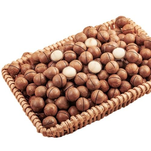 Highly Nutritious Roasted Macadamia Nuts with Delicious Taste