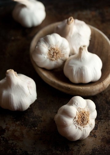 Indian Origin Raw Garlic Bulb