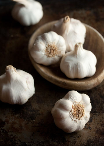 Round Indian Origin Raw Garlic Bulb