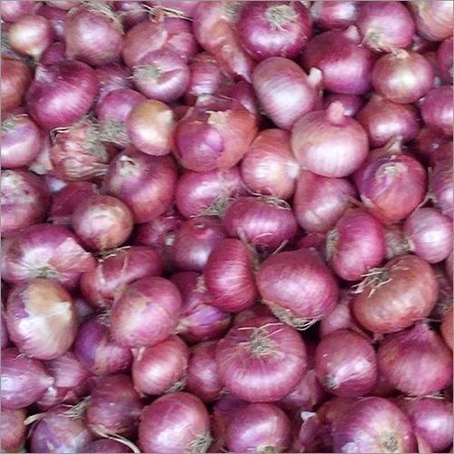Maturity 100% Healthy Organic Fresh Red Onion