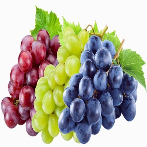 Maturity 100% Natural And Healthy Organic Fresh Grapes