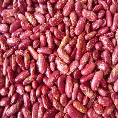 Organic Dried Healthy Natural Speckled Kidney Beans 