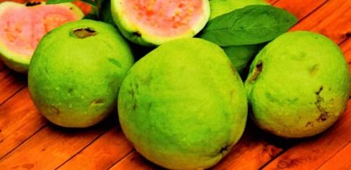 Green Fresh Premium Guava