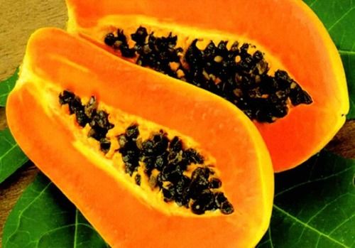 High In Nutrients Fresh Papaya