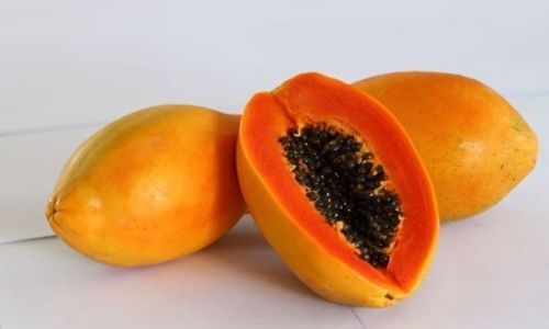 Highly Nutritious Fresh Papaya