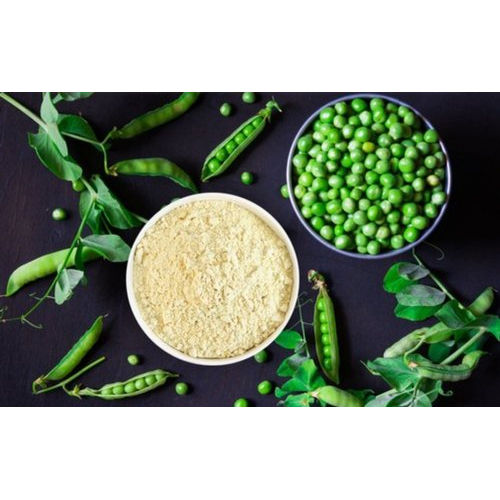 Pea Protein Isolate Dosage Form: Powder