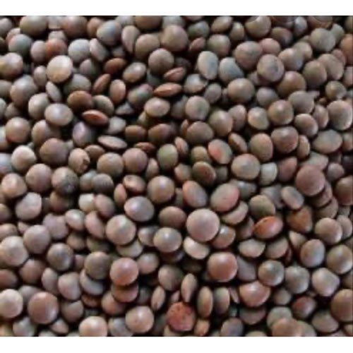 Good Quality Healthy Whole Masoor Dal