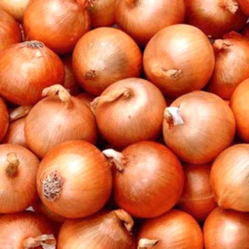 Maturity 100% Healthy and Natural Organic Fresh Onion