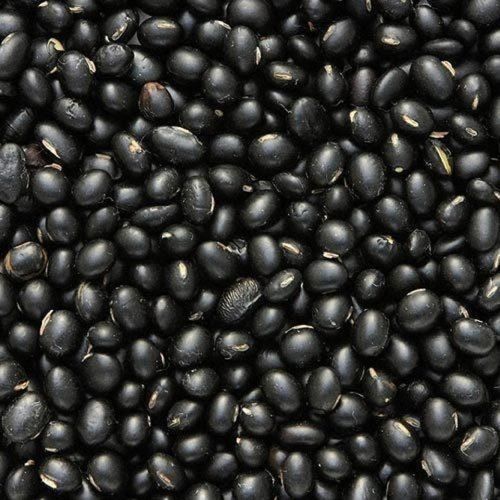 Organic Good Quality Whole Black Urad Dal Grain Size: Small