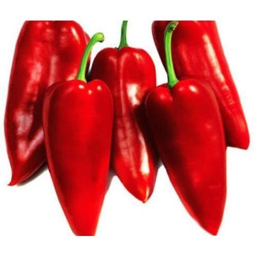 Solid A Grade Vegetable Red Chilli