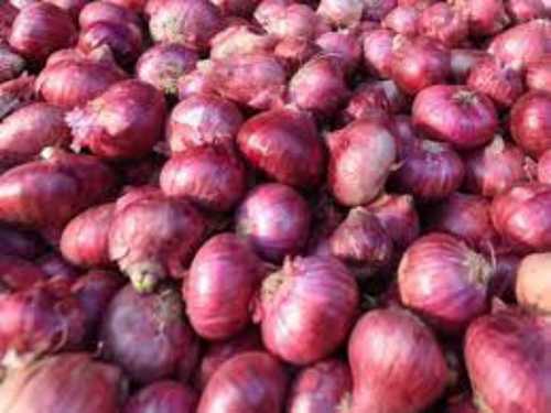 All Size Organic Red Onion - Gunny Bag, Hygienically Packed, Raw Form | No Preservatives, 7-15 Days Shelf Life