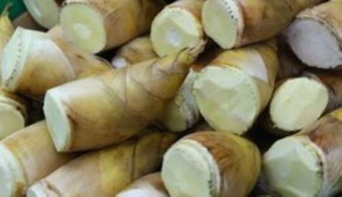 Seasoned Brown Color Organic Bamboo Shoots