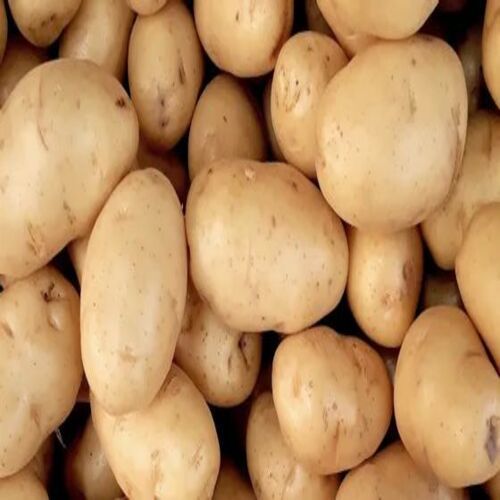 Round & Oval Calories 77/100Gms Total Fat 0.1 G/100Gms Organic Fresh Potato