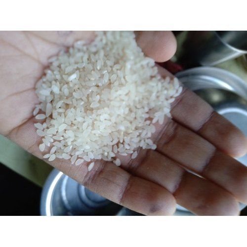 Medium Variety Fresh Joha Rice Grain